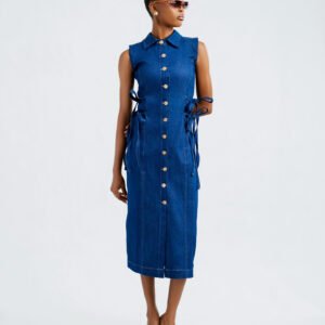 cinch denim dress look 1